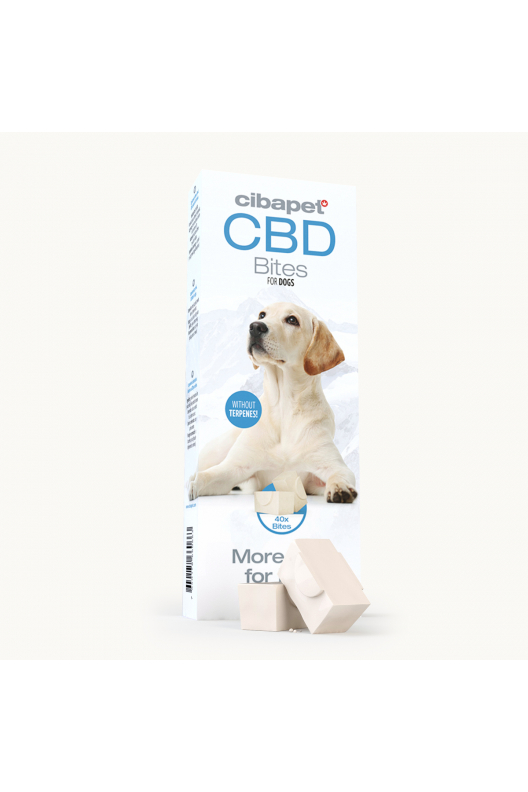 Przysmaki CBD dla psów