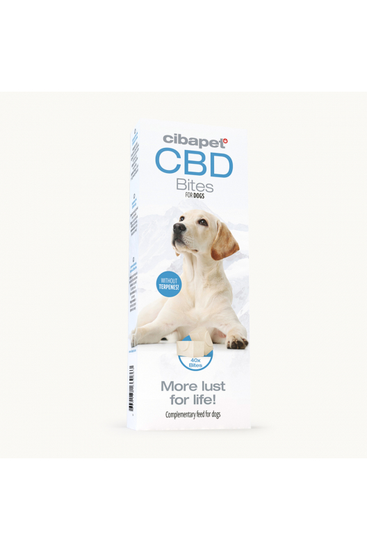 Przysmaki CBD dla psów
