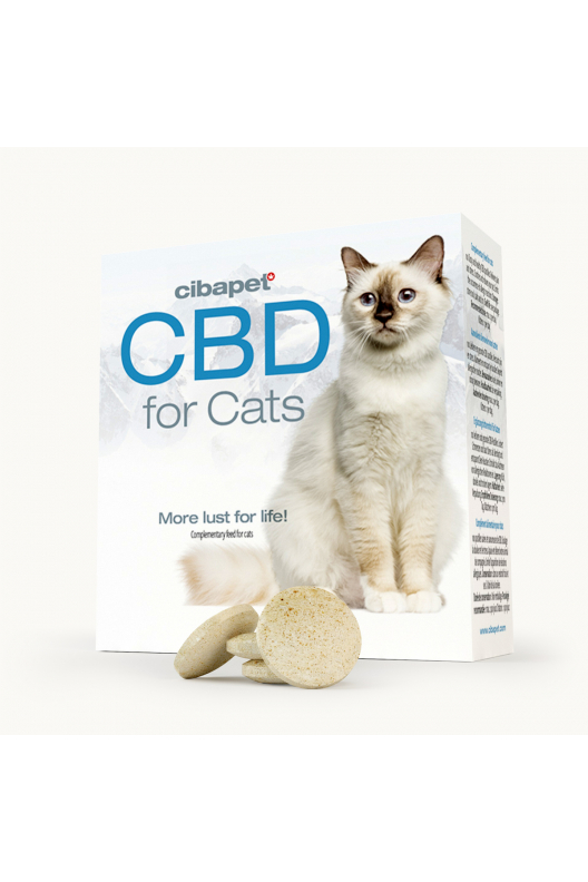 Pastylki CBD dla kotów