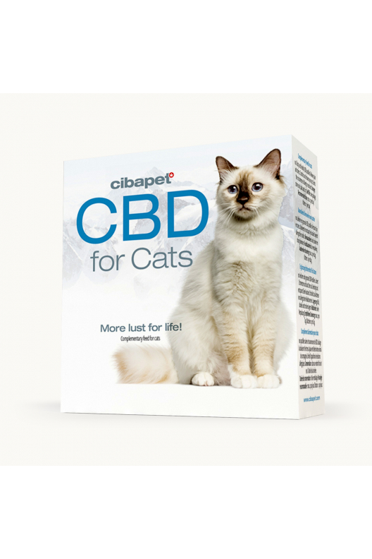 Pastylki CBD dla kotów