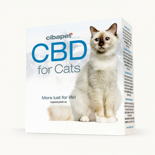 Pastylki CBD dla kotów