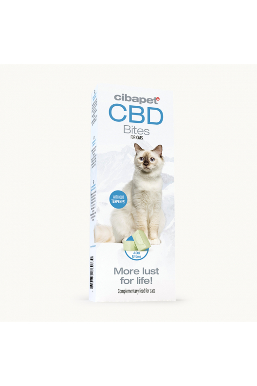 Przysmaki CBD dla kotów