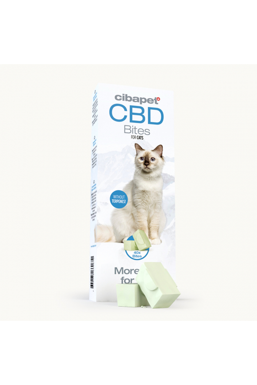 Przysmaki CBD dla kotów