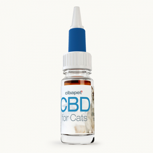 Olej CBD 4% dla kotów