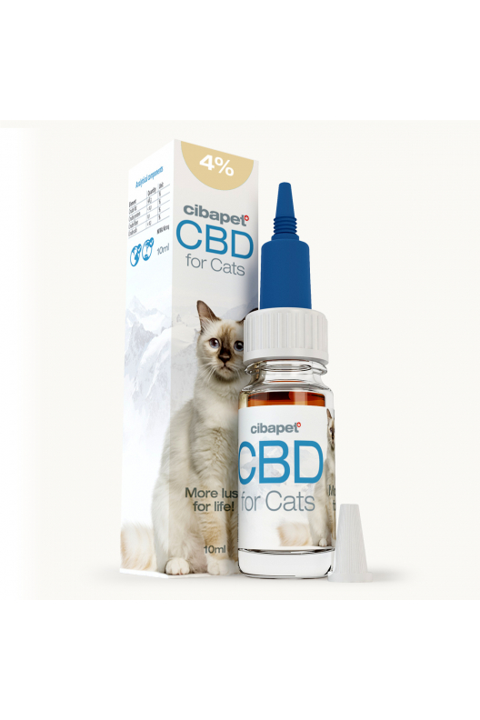 Olej CBD 4% dla kotów