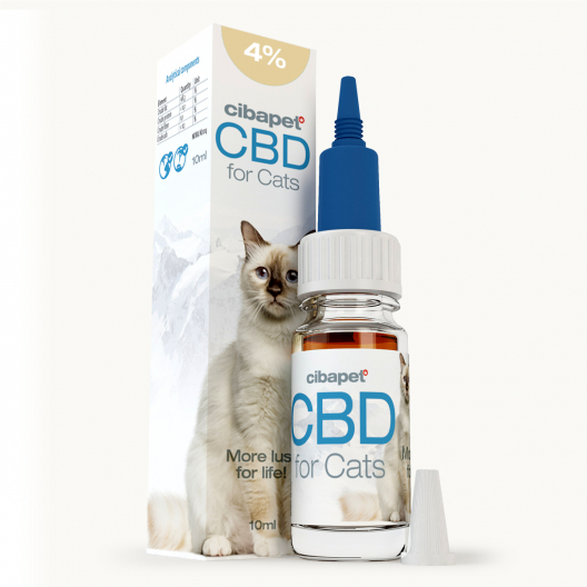 Olej CBD 4% dla kotów