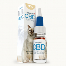 Olej CBD 4% dla kotów