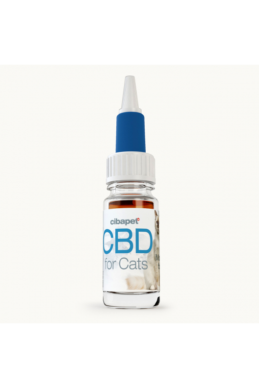 Olej CBD 2% dla kotów