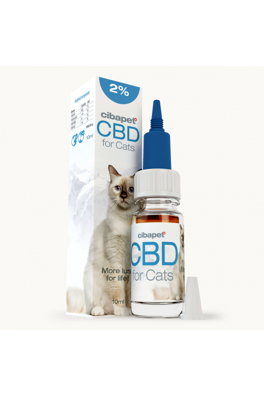 Olej CBD 2% dla kotów