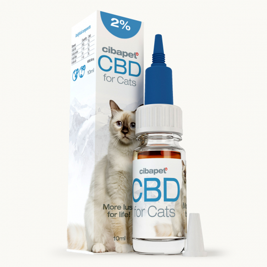 Olej CBD 2% dla kotów