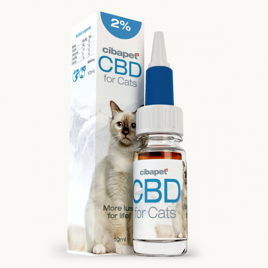 Olej CBD 2% dla kotów