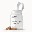 Cordyceps Formula