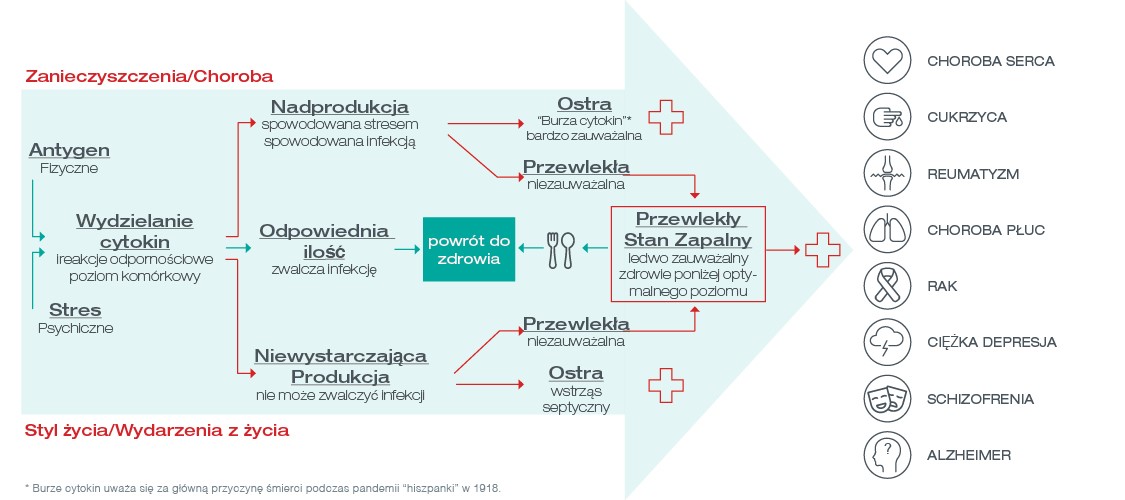 plansza infekcji przewlekłej