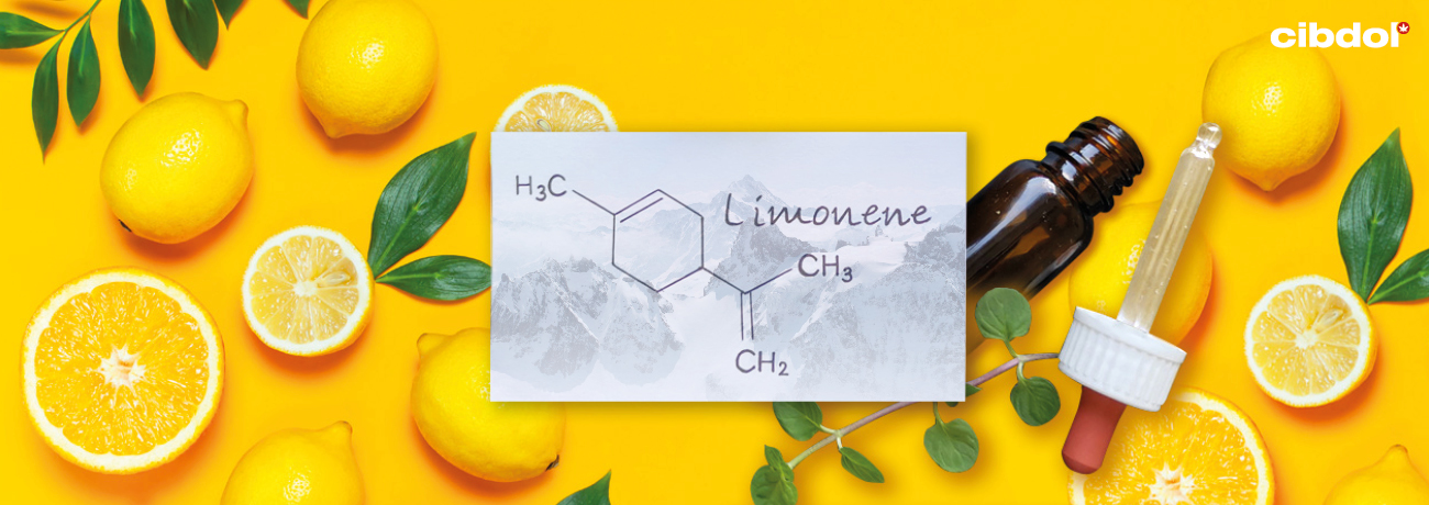 Co to jest limonen? 