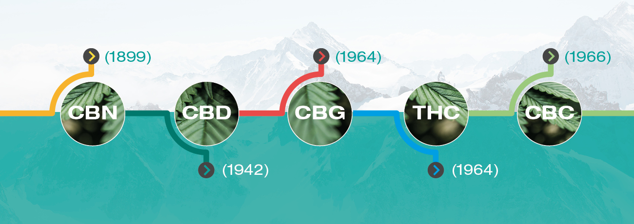 Kiedy odkryto kannabinoidy?