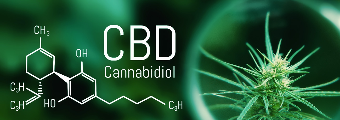 Czy CBD może przeciwdziałać THC?