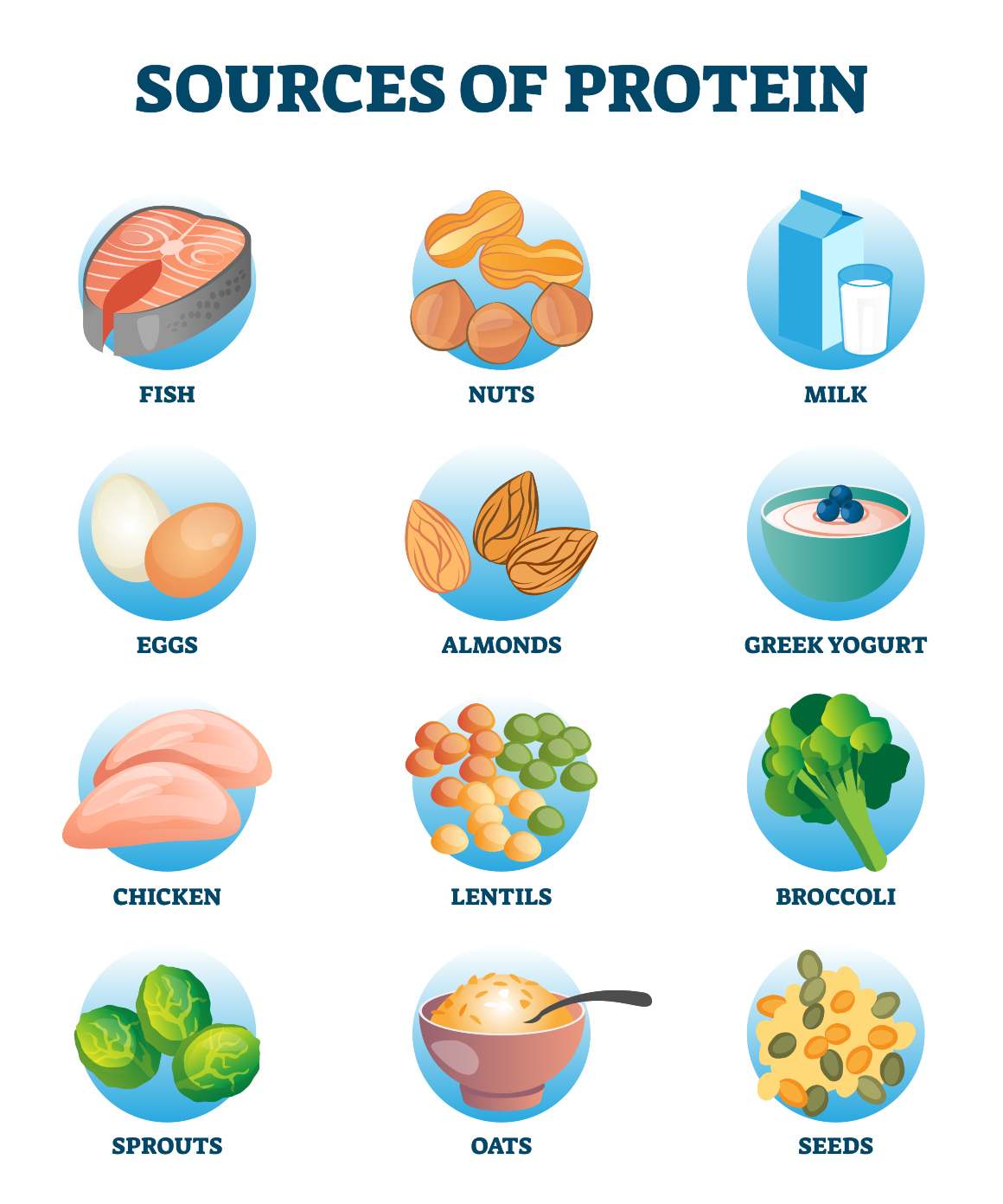 Factors Affecting Individual Protein Needs