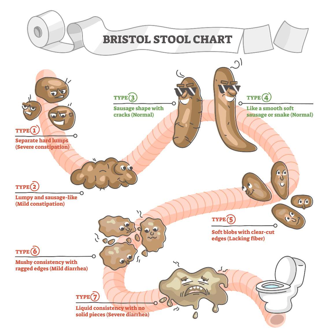 The Bristol Stool Form Scale and Your Health