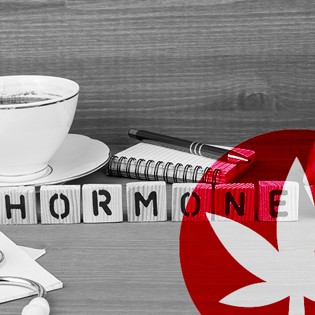Czy CBD wpływa na Twoje hormony?